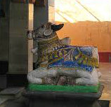Nandi in Ganeshpuri cropped