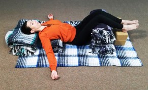 supported fish - Copy