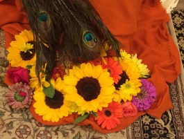 boston shaktipat blog