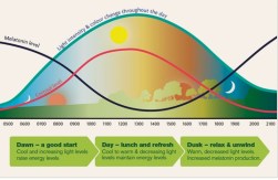 circadian-rhythms-istl-com