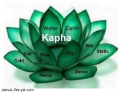 kapha-2