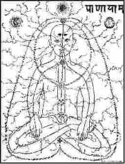 nadis map kundaliniyoga-homestead-com