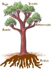 klesha lacavernadidonfalcuccio.blogspot.in