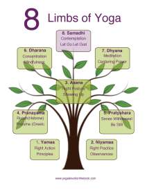 8LimbsYoga
