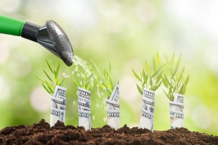 Watering-Your-Money-Garden